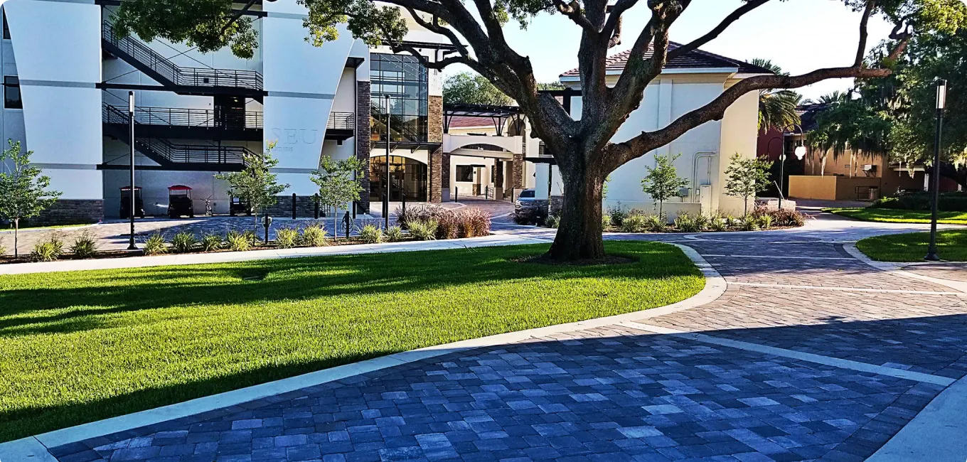 Paver path and deck under a live oak